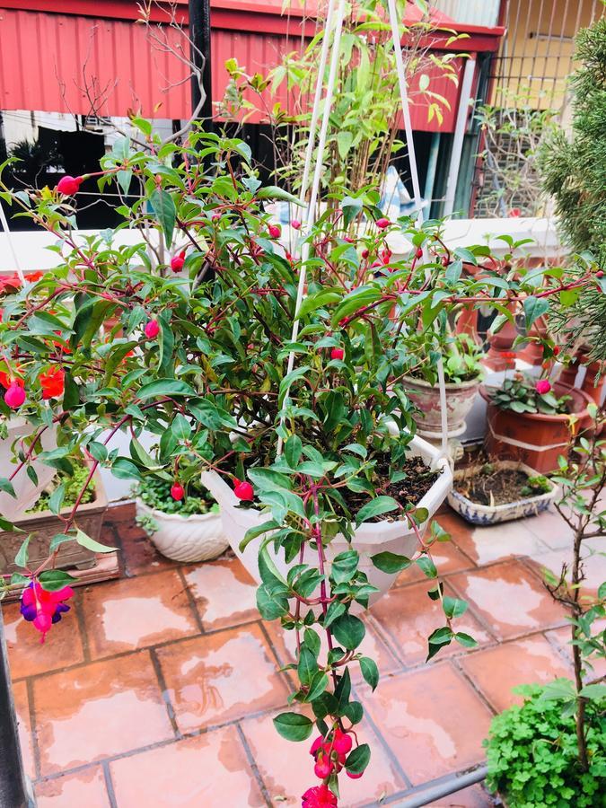 Lee'S Family Homestay Hanoi Exterior foto